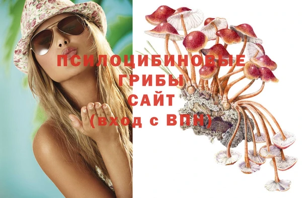 СК Алексеевка