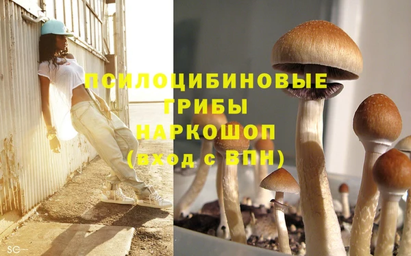 спайс Абинск