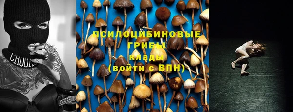 спайс Абинск